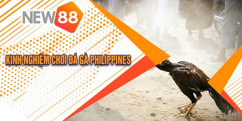 Các kinh nghiệm chơi đá gà Philippines